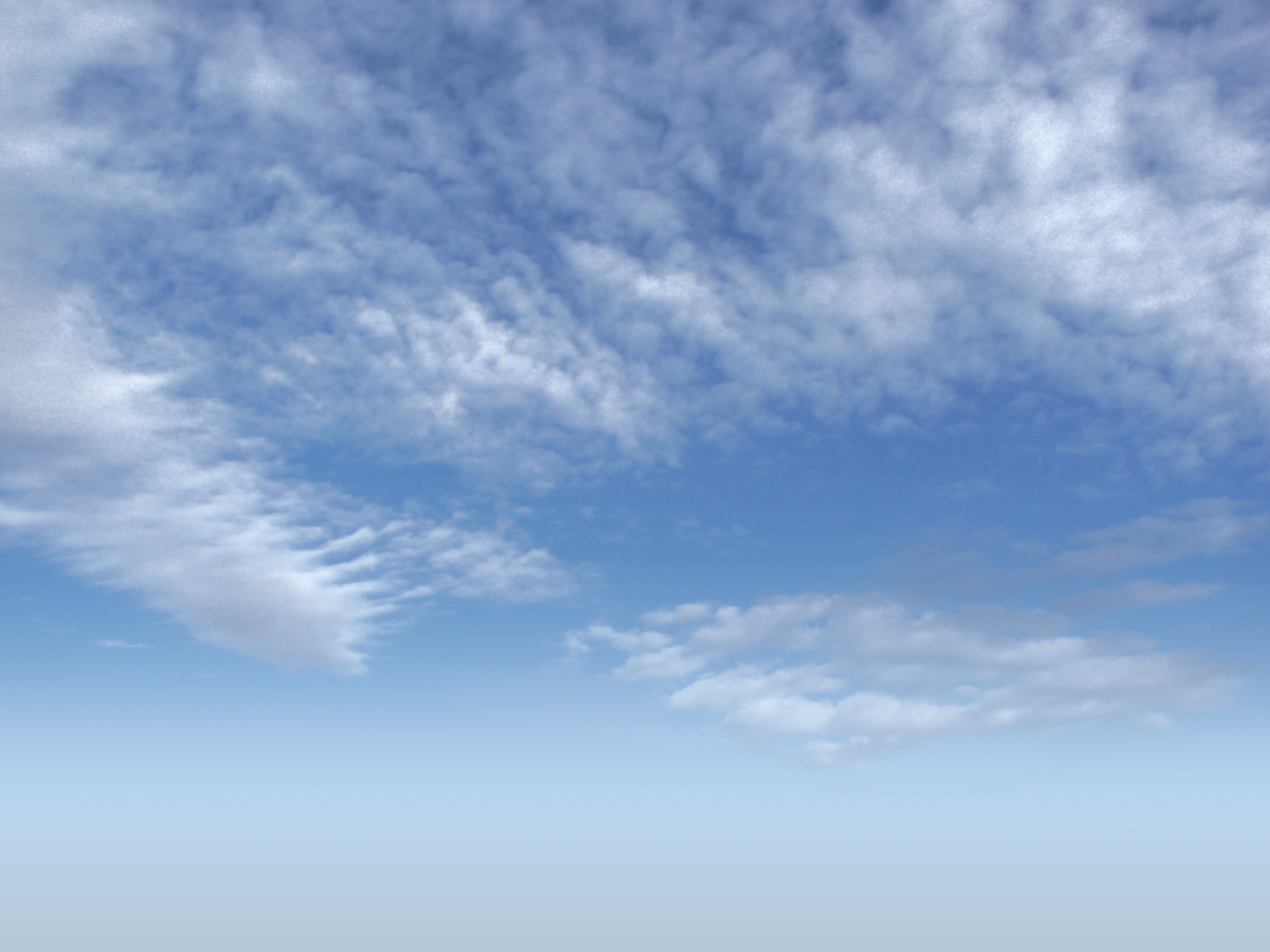 却下テスト用作品